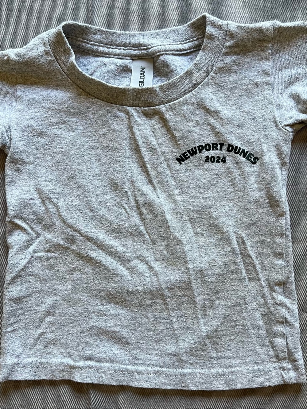 Gildan Gray Kids' Newport Dunes 2024 Graphic Tee